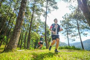 BIB: 
                            <button type="button" onclick="openModal(19287148)" class="btn btn-primary btn-sm float-right btn-popup" data-toggle="modal" data-target=".modal-high-quality">
                        <i class="fas fa-shopping-cart"></i> Add to Cart
                    </button>
                                            <button type="button" onclick="isThisMe(19287148, true)" class="btn btn-success btn-sm float-right btn-popup btn-isme hidden" data-toggle="tooltip" data-placement="bottom" title="นี่คือรูปของคุณใช่ไหม คลิกที่นี่เพื่อเอาเข้าอัลบั้ม">
                        <i class="fas fa-plus"></i> Add to album
                    </button>
                    <button type="button" onclick="isThisMe(19287148, false)" class="btn btn-warning btn-sm float-right btn-popup btn-isnotme hidden">
                        <i class="fas fa-ban"></i> Remove from album
                    </button>