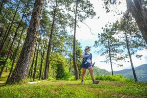 BIB: 
                            <button type="button" onclick="openModal(19291140)" class="btn btn-primary btn-sm float-right btn-popup" data-toggle="modal" data-target=".modal-high-quality">
                        <i class="fas fa-shopping-cart"></i> Add to Cart
                    </button>
                                            <button type="button" onclick="isThisMe(19291140, true)" class="btn btn-success btn-sm float-right btn-popup btn-isme hidden" data-toggle="tooltip" data-placement="bottom" title="นี่คือรูปของคุณใช่ไหม คลิกที่นี่เพื่อเอาเข้าอัลบั้ม">
                        <i class="fas fa-plus"></i> Add to album
                    </button>
                    <button type="button" onclick="isThisMe(19291140, false)" class="btn btn-warning btn-sm float-right btn-popup btn-isnotme hidden">
                        <i class="fas fa-ban"></i> Remove from album
                    </button>