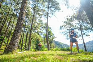 BIB: 
                            <button type="button" onclick="openModal(19290263)" class="btn btn-primary btn-sm float-right btn-popup" data-toggle="modal" data-target=".modal-high-quality">
                        <i class="fas fa-shopping-cart"></i> Add to Cart
                    </button>
                                            <button type="button" onclick="isThisMe(19290263, true)" class="btn btn-success btn-sm float-right btn-popup btn-isme hidden" data-toggle="tooltip" data-placement="bottom" title="นี่คือรูปของคุณใช่ไหม คลิกที่นี่เพื่อเอาเข้าอัลบั้ม">
                        <i class="fas fa-plus"></i> Add to album
                    </button>
                    <button type="button" onclick="isThisMe(19290263, false)" class="btn btn-warning btn-sm float-right btn-popup btn-isnotme hidden">
                        <i class="fas fa-ban"></i> Remove from album
                    </button>