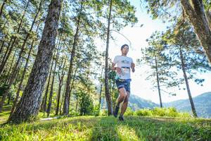 BIB: 
                            <button type="button" onclick="openModal(19279092)" class="btn btn-primary btn-sm float-right btn-popup" data-toggle="modal" data-target=".modal-high-quality">
                        <i class="fas fa-shopping-cart"></i> Add to Cart
                    </button>
                                            <button type="button" onclick="isThisMe(19279092, true)" class="btn btn-success btn-sm float-right btn-popup btn-isme hidden" data-toggle="tooltip" data-placement="bottom" title="นี่คือรูปของคุณใช่ไหม คลิกที่นี่เพื่อเอาเข้าอัลบั้ม">
                        <i class="fas fa-plus"></i> Add to album
                    </button>
                    <button type="button" onclick="isThisMe(19279092, false)" class="btn btn-warning btn-sm float-right btn-popup btn-isnotme hidden">
                        <i class="fas fa-ban"></i> Remove from album
                    </button>