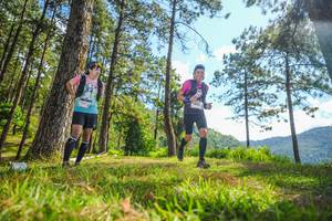 BIB: 
                            <button type="button" onclick="openModal(19291583)" class="btn btn-primary btn-sm float-right btn-popup" data-toggle="modal" data-target=".modal-high-quality">
                        <i class="fas fa-shopping-cart"></i> Add to Cart
                    </button>
                                            <button type="button" onclick="isThisMe(19291583, true)" class="btn btn-success btn-sm float-right btn-popup btn-isme hidden" data-toggle="tooltip" data-placement="bottom" title="นี่คือรูปของคุณใช่ไหม คลิกที่นี่เพื่อเอาเข้าอัลบั้ม">
                        <i class="fas fa-plus"></i> Add to album
                    </button>
                    <button type="button" onclick="isThisMe(19291583, false)" class="btn btn-warning btn-sm float-right btn-popup btn-isnotme hidden">
                        <i class="fas fa-ban"></i> Remove from album
                    </button>