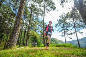 BIB: 
                            <button type="button" onclick="openModal(19291117)" class="btn btn-primary btn-sm float-right btn-popup" data-toggle="modal" data-target=".modal-high-quality">
                        <i class="fas fa-shopping-cart"></i> Add to Cart
                    </button>
                                            <button type="button" onclick="isThisMe(19291117, true)" class="btn btn-success btn-sm float-right btn-popup btn-isme hidden" data-toggle="tooltip" data-placement="bottom" title="นี่คือรูปของคุณใช่ไหม คลิกที่นี่เพื่อเอาเข้าอัลบั้ม">
                        <i class="fas fa-plus"></i> Add to album
                    </button>
                    <button type="button" onclick="isThisMe(19291117, false)" class="btn btn-warning btn-sm float-right btn-popup btn-isnotme hidden">
                        <i class="fas fa-ban"></i> Remove from album
                    </button>