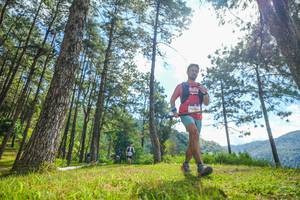 BIB: 
                            <button type="button" onclick="openModal(19285056)" class="btn btn-primary btn-sm float-right btn-popup" data-toggle="modal" data-target=".modal-high-quality">
                        <i class="fas fa-shopping-cart"></i> Add to Cart
                    </button>
                                            <button type="button" onclick="isThisMe(19285056, true)" class="btn btn-success btn-sm float-right btn-popup btn-isme hidden" data-toggle="tooltip" data-placement="bottom" title="นี่คือรูปของคุณใช่ไหม คลิกที่นี่เพื่อเอาเข้าอัลบั้ม">
                        <i class="fas fa-plus"></i> Add to album
                    </button>
                    <button type="button" onclick="isThisMe(19285056, false)" class="btn btn-warning btn-sm float-right btn-popup btn-isnotme hidden">
                        <i class="fas fa-ban"></i> Remove from album
                    </button>