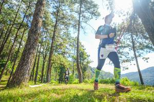 BIB: 
                            <button type="button" onclick="openModal(19290467)" class="btn btn-primary btn-sm float-right btn-popup" data-toggle="modal" data-target=".modal-high-quality">
                        <i class="fas fa-shopping-cart"></i> Add to Cart
                    </button>
                                            <button type="button" onclick="isThisMe(19290467, true)" class="btn btn-success btn-sm float-right btn-popup btn-isme hidden" data-toggle="tooltip" data-placement="bottom" title="นี่คือรูปของคุณใช่ไหม คลิกที่นี่เพื่อเอาเข้าอัลบั้ม">
                        <i class="fas fa-plus"></i> Add to album
                    </button>
                    <button type="button" onclick="isThisMe(19290467, false)" class="btn btn-warning btn-sm float-right btn-popup btn-isnotme hidden">
                        <i class="fas fa-ban"></i> Remove from album
                    </button>