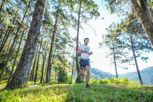 BIB: 247
                            <button type="button" onclick="openModal(19279085)" class="btn btn-primary btn-sm float-right btn-popup" data-toggle="modal" data-target=".modal-high-quality">
                        <i class="fas fa-shopping-cart"></i> Add to Cart
                    </button>
                                            <button type="button" onclick="isThisMe(19279085, true)" class="btn btn-success btn-sm float-right btn-popup btn-isme hidden" data-toggle="tooltip" data-placement="bottom" title="นี่คือรูปของคุณใช่ไหม คลิกที่นี่เพื่อเอาเข้าอัลบั้ม">
                        <i class="fas fa-plus"></i> Add to album
                    </button>
                    <button type="button" onclick="isThisMe(19279085, false)" class="btn btn-warning btn-sm float-right btn-popup btn-isnotme hidden">
                        <i class="fas fa-ban"></i> Remove from album
                    </button>