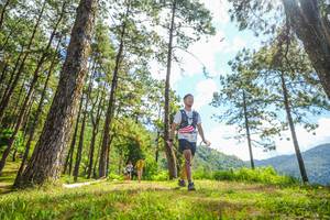 BIB: 
                            <button type="button" onclick="openModal(19291284)" class="btn btn-primary btn-sm float-right btn-popup" data-toggle="modal" data-target=".modal-high-quality">
                        <i class="fas fa-shopping-cart"></i> Add to Cart
                    </button>
                                            <button type="button" onclick="isThisMe(19291284, true)" class="btn btn-success btn-sm float-right btn-popup btn-isme hidden" data-toggle="tooltip" data-placement="bottom" title="นี่คือรูปของคุณใช่ไหม คลิกที่นี่เพื่อเอาเข้าอัลบั้ม">
                        <i class="fas fa-plus"></i> Add to album
                    </button>
                    <button type="button" onclick="isThisMe(19291284, false)" class="btn btn-warning btn-sm float-right btn-popup btn-isnotme hidden">
                        <i class="fas fa-ban"></i> Remove from album
                    </button>