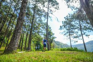 BIB: 
                            <button type="button" onclick="openModal(19285425)" class="btn btn-primary btn-sm float-right btn-popup" data-toggle="modal" data-target=".modal-high-quality">
                        <i class="fas fa-shopping-cart"></i> Add to Cart
                    </button>
                                            <button type="button" onclick="isThisMe(19285425, true)" class="btn btn-success btn-sm float-right btn-popup btn-isme hidden" data-toggle="tooltip" data-placement="bottom" title="นี่คือรูปของคุณใช่ไหม คลิกที่นี่เพื่อเอาเข้าอัลบั้ม">
                        <i class="fas fa-plus"></i> Add to album
                    </button>
                    <button type="button" onclick="isThisMe(19285425, false)" class="btn btn-warning btn-sm float-right btn-popup btn-isnotme hidden">
                        <i class="fas fa-ban"></i> Remove from album
                    </button>