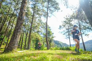 BIB: 
                            <button type="button" onclick="openModal(19290277)" class="btn btn-primary btn-sm float-right btn-popup" data-toggle="modal" data-target=".modal-high-quality">
                        <i class="fas fa-shopping-cart"></i> Add to Cart
                    </button>
                                            <button type="button" onclick="isThisMe(19290277, true)" class="btn btn-success btn-sm float-right btn-popup btn-isme hidden" data-toggle="tooltip" data-placement="bottom" title="นี่คือรูปของคุณใช่ไหม คลิกที่นี่เพื่อเอาเข้าอัลบั้ม">
                        <i class="fas fa-plus"></i> Add to album
                    </button>
                    <button type="button" onclick="isThisMe(19290277, false)" class="btn btn-warning btn-sm float-right btn-popup btn-isnotme hidden">
                        <i class="fas fa-ban"></i> Remove from album
                    </button>