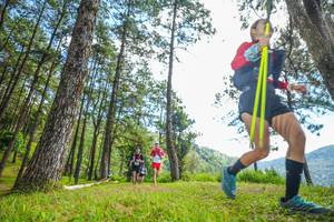 BIB: 
                            <button type="button" onclick="openModal(19288291)" class="btn btn-primary btn-sm float-right btn-popup" data-toggle="modal" data-target=".modal-high-quality">
                        <i class="fas fa-shopping-cart"></i> Add to Cart
                    </button>
                                            <button type="button" onclick="isThisMe(19288291, true)" class="btn btn-success btn-sm float-right btn-popup btn-isme hidden" data-toggle="tooltip" data-placement="bottom" title="นี่คือรูปของคุณใช่ไหม คลิกที่นี่เพื่อเอาเข้าอัลบั้ม">
                        <i class="fas fa-plus"></i> Add to album
                    </button>
                    <button type="button" onclick="isThisMe(19288291, false)" class="btn btn-warning btn-sm float-right btn-popup btn-isnotme hidden">
                        <i class="fas fa-ban"></i> Remove from album
                    </button>