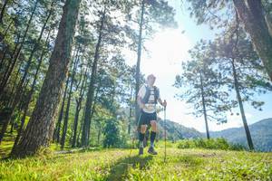 BIB: 
                            <button type="button" onclick="openModal(19281264)" class="btn btn-primary btn-sm float-right btn-popup" data-toggle="modal" data-target=".modal-high-quality">
                        <i class="fas fa-shopping-cart"></i> Add to Cart
                    </button>
                                            <button type="button" onclick="isThisMe(19281264, true)" class="btn btn-success btn-sm float-right btn-popup btn-isme hidden" data-toggle="tooltip" data-placement="bottom" title="นี่คือรูปของคุณใช่ไหม คลิกที่นี่เพื่อเอาเข้าอัลบั้ม">
                        <i class="fas fa-plus"></i> Add to album
                    </button>
                    <button type="button" onclick="isThisMe(19281264, false)" class="btn btn-warning btn-sm float-right btn-popup btn-isnotme hidden">
                        <i class="fas fa-ban"></i> Remove from album
                    </button>