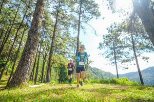 BIB: 
                            <button type="button" onclick="openModal(19290579)" class="btn btn-primary btn-sm float-right btn-popup" data-toggle="modal" data-target=".modal-high-quality">
                        <i class="fas fa-shopping-cart"></i> Add to Cart
                    </button>
                                            <button type="button" onclick="isThisMe(19290579, true)" class="btn btn-success btn-sm float-right btn-popup btn-isme hidden" data-toggle="tooltip" data-placement="bottom" title="นี่คือรูปของคุณใช่ไหม คลิกที่นี่เพื่อเอาเข้าอัลบั้ม">
                        <i class="fas fa-plus"></i> Add to album
                    </button>
                    <button type="button" onclick="isThisMe(19290579, false)" class="btn btn-warning btn-sm float-right btn-popup btn-isnotme hidden">
                        <i class="fas fa-ban"></i> Remove from album
                    </button>