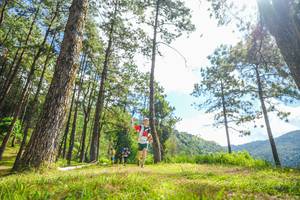 BIB: 
                            <button type="button" onclick="openModal(19291205)" class="btn btn-primary btn-sm float-right btn-popup" data-toggle="modal" data-target=".modal-high-quality">
                        <i class="fas fa-shopping-cart"></i> Add to Cart
                    </button>
                                            <button type="button" onclick="isThisMe(19291205, true)" class="btn btn-success btn-sm float-right btn-popup btn-isme hidden" data-toggle="tooltip" data-placement="bottom" title="นี่คือรูปของคุณใช่ไหม คลิกที่นี่เพื่อเอาเข้าอัลบั้ม">
                        <i class="fas fa-plus"></i> Add to album
                    </button>
                    <button type="button" onclick="isThisMe(19291205, false)" class="btn btn-warning btn-sm float-right btn-popup btn-isnotme hidden">
                        <i class="fas fa-ban"></i> Remove from album
                    </button>