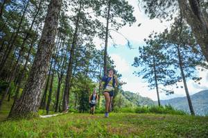 BIB: 
                            <button type="button" onclick="openModal(19286924)" class="btn btn-primary btn-sm float-right btn-popup" data-toggle="modal" data-target=".modal-high-quality">
                        <i class="fas fa-shopping-cart"></i> Add to Cart
                    </button>
                                            <button type="button" onclick="isThisMe(19286924, true)" class="btn btn-success btn-sm float-right btn-popup btn-isme hidden" data-toggle="tooltip" data-placement="bottom" title="นี่คือรูปของคุณใช่ไหม คลิกที่นี่เพื่อเอาเข้าอัลบั้ม">
                        <i class="fas fa-plus"></i> Add to album
                    </button>
                    <button type="button" onclick="isThisMe(19286924, false)" class="btn btn-warning btn-sm float-right btn-popup btn-isnotme hidden">
                        <i class="fas fa-ban"></i> Remove from album
                    </button>