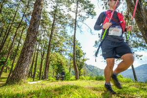 BIB: 5937
                            <button type="button" onclick="openModal(19289212)" class="btn btn-primary btn-sm float-right btn-popup" data-toggle="modal" data-target=".modal-high-quality">
                        <i class="fas fa-shopping-cart"></i> Add to Cart
                    </button>
                                            <button type="button" onclick="isThisMe(19289212, true)" class="btn btn-success btn-sm float-right btn-popup btn-isme hidden" data-toggle="tooltip" data-placement="bottom" title="นี่คือรูปของคุณใช่ไหม คลิกที่นี่เพื่อเอาเข้าอัลบั้ม">
                        <i class="fas fa-plus"></i> Add to album
                    </button>
                    <button type="button" onclick="isThisMe(19289212, false)" class="btn btn-warning btn-sm float-right btn-popup btn-isnotme hidden">
                        <i class="fas fa-ban"></i> Remove from album
                    </button>