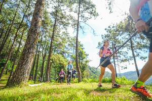 BIB: 
                            <button type="button" onclick="openModal(19290011)" class="btn btn-primary btn-sm float-right btn-popup" data-toggle="modal" data-target=".modal-high-quality">
                        <i class="fas fa-shopping-cart"></i> Add to Cart
                    </button>
                                            <button type="button" onclick="isThisMe(19290011, true)" class="btn btn-success btn-sm float-right btn-popup btn-isme hidden" data-toggle="tooltip" data-placement="bottom" title="นี่คือรูปของคุณใช่ไหม คลิกที่นี่เพื่อเอาเข้าอัลบั้ม">
                        <i class="fas fa-plus"></i> Add to album
                    </button>
                    <button type="button" onclick="isThisMe(19290011, false)" class="btn btn-warning btn-sm float-right btn-popup btn-isnotme hidden">
                        <i class="fas fa-ban"></i> Remove from album
                    </button>