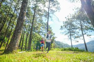 BIB: 
                            <button type="button" onclick="openModal(19286759)" class="btn btn-primary btn-sm float-right btn-popup" data-toggle="modal" data-target=".modal-high-quality">
                        <i class="fas fa-shopping-cart"></i> Add to Cart
                    </button>
                                            <button type="button" onclick="isThisMe(19286759, true)" class="btn btn-success btn-sm float-right btn-popup btn-isme hidden" data-toggle="tooltip" data-placement="bottom" title="นี่คือรูปของคุณใช่ไหม คลิกที่นี่เพื่อเอาเข้าอัลบั้ม">
                        <i class="fas fa-plus"></i> Add to album
                    </button>
                    <button type="button" onclick="isThisMe(19286759, false)" class="btn btn-warning btn-sm float-right btn-popup btn-isnotme hidden">
                        <i class="fas fa-ban"></i> Remove from album
                    </button>