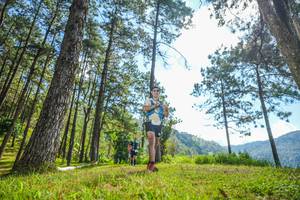 BIB: 
                            <button type="button" onclick="openModal(19283764)" class="btn btn-primary btn-sm float-right btn-popup" data-toggle="modal" data-target=".modal-high-quality">
                        <i class="fas fa-shopping-cart"></i> Add to Cart
                    </button>
                                            <button type="button" onclick="isThisMe(19283764, true)" class="btn btn-success btn-sm float-right btn-popup btn-isme hidden" data-toggle="tooltip" data-placement="bottom" title="นี่คือรูปของคุณใช่ไหม คลิกที่นี่เพื่อเอาเข้าอัลบั้ม">
                        <i class="fas fa-plus"></i> Add to album
                    </button>
                    <button type="button" onclick="isThisMe(19283764, false)" class="btn btn-warning btn-sm float-right btn-popup btn-isnotme hidden">
                        <i class="fas fa-ban"></i> Remove from album
                    </button>