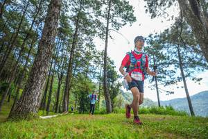 BIB: 4460
                            <button type="button" onclick="openModal(19287628)" class="btn btn-primary btn-sm float-right btn-popup" data-toggle="modal" data-target=".modal-high-quality">
                        <i class="fas fa-shopping-cart"></i> Add to Cart
                    </button>
                                            <button type="button" onclick="isThisMe(19287628, true)" class="btn btn-success btn-sm float-right btn-popup btn-isme hidden" data-toggle="tooltip" data-placement="bottom" title="นี่คือรูปของคุณใช่ไหม คลิกที่นี่เพื่อเอาเข้าอัลบั้ม">
                        <i class="fas fa-plus"></i> Add to album
                    </button>
                    <button type="button" onclick="isThisMe(19287628, false)" class="btn btn-warning btn-sm float-right btn-popup btn-isnotme hidden">
                        <i class="fas fa-ban"></i> Remove from album
                    </button>