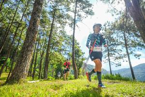 BIB: 464
                            <button type="button" onclick="openModal(19287157)" class="btn btn-primary btn-sm float-right btn-popup" data-toggle="modal" data-target=".modal-high-quality">
                        <i class="fas fa-shopping-cart"></i> Add to Cart
                    </button>
                                            <button type="button" onclick="isThisMe(19287157, true)" class="btn btn-success btn-sm float-right btn-popup btn-isme hidden" data-toggle="tooltip" data-placement="bottom" title="นี่คือรูปของคุณใช่ไหม คลิกที่นี่เพื่อเอาเข้าอัลบั้ม">
                        <i class="fas fa-plus"></i> Add to album
                    </button>
                    <button type="button" onclick="isThisMe(19287157, false)" class="btn btn-warning btn-sm float-right btn-popup btn-isnotme hidden">
                        <i class="fas fa-ban"></i> Remove from album
                    </button>