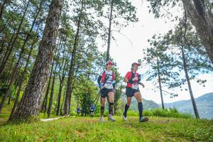 BIB: 
                            <button type="button" onclick="openModal(19287506)" class="btn btn-primary btn-sm float-right btn-popup" data-toggle="modal" data-target=".modal-high-quality">
                        <i class="fas fa-shopping-cart"></i> Add to Cart
                    </button>
                                            <button type="button" onclick="isThisMe(19287506, true)" class="btn btn-success btn-sm float-right btn-popup btn-isme hidden" data-toggle="tooltip" data-placement="bottom" title="นี่คือรูปของคุณใช่ไหม คลิกที่นี่เพื่อเอาเข้าอัลบั้ม">
                        <i class="fas fa-plus"></i> Add to album
                    </button>
                    <button type="button" onclick="isThisMe(19287506, false)" class="btn btn-warning btn-sm float-right btn-popup btn-isnotme hidden">
                        <i class="fas fa-ban"></i> Remove from album
                    </button>