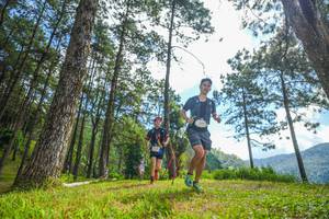 BIB: 
                            <button type="button" onclick="openModal(19286973)" class="btn btn-primary btn-sm float-right btn-popup" data-toggle="modal" data-target=".modal-high-quality">
                        <i class="fas fa-shopping-cart"></i> Add to Cart
                    </button>
                                            <button type="button" onclick="isThisMe(19286973, true)" class="btn btn-success btn-sm float-right btn-popup btn-isme hidden" data-toggle="tooltip" data-placement="bottom" title="นี่คือรูปของคุณใช่ไหม คลิกที่นี่เพื่อเอาเข้าอัลบั้ม">
                        <i class="fas fa-plus"></i> Add to album
                    </button>
                    <button type="button" onclick="isThisMe(19286973, false)" class="btn btn-warning btn-sm float-right btn-popup btn-isnotme hidden">
                        <i class="fas fa-ban"></i> Remove from album
                    </button>