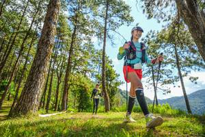 BIB: 
                            <button type="button" onclick="openModal(19291413)" class="btn btn-primary btn-sm float-right btn-popup" data-toggle="modal" data-target=".modal-high-quality">
                        <i class="fas fa-shopping-cart"></i> Add to Cart
                    </button>
                                            <button type="button" onclick="isThisMe(19291413, true)" class="btn btn-success btn-sm float-right btn-popup btn-isme hidden" data-toggle="tooltip" data-placement="bottom" title="นี่คือรูปของคุณใช่ไหม คลิกที่นี่เพื่อเอาเข้าอัลบั้ม">
                        <i class="fas fa-plus"></i> Add to album
                    </button>
                    <button type="button" onclick="isThisMe(19291413, false)" class="btn btn-warning btn-sm float-right btn-popup btn-isnotme hidden">
                        <i class="fas fa-ban"></i> Remove from album
                    </button>