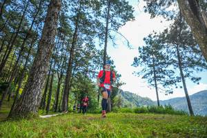 BIB: 
                            <button type="button" onclick="openModal(19283432)" class="btn btn-primary btn-sm float-right btn-popup" data-toggle="modal" data-target=".modal-high-quality">
                        <i class="fas fa-shopping-cart"></i> Add to Cart
                    </button>
                                            <button type="button" onclick="isThisMe(19283432, true)" class="btn btn-success btn-sm float-right btn-popup btn-isme hidden" data-toggle="tooltip" data-placement="bottom" title="นี่คือรูปของคุณใช่ไหม คลิกที่นี่เพื่อเอาเข้าอัลบั้ม">
                        <i class="fas fa-plus"></i> Add to album
                    </button>
                    <button type="button" onclick="isThisMe(19283432, false)" class="btn btn-warning btn-sm float-right btn-popup btn-isnotme hidden">
                        <i class="fas fa-ban"></i> Remove from album
                    </button>