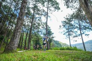 BIB: 
                            <button type="button" onclick="openModal(19287925)" class="btn btn-primary btn-sm float-right btn-popup" data-toggle="modal" data-target=".modal-high-quality">
                        <i class="fas fa-shopping-cart"></i> Add to Cart
                    </button>
                                            <button type="button" onclick="isThisMe(19287925, true)" class="btn btn-success btn-sm float-right btn-popup btn-isme hidden" data-toggle="tooltip" data-placement="bottom" title="นี่คือรูปของคุณใช่ไหม คลิกที่นี่เพื่อเอาเข้าอัลบั้ม">
                        <i class="fas fa-plus"></i> Add to album
                    </button>
                    <button type="button" onclick="isThisMe(19287925, false)" class="btn btn-warning btn-sm float-right btn-popup btn-isnotme hidden">
                        <i class="fas fa-ban"></i> Remove from album
                    </button>