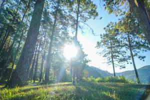 BIB: 
                            <button type="button" onclick="openModal(19278660)" class="btn btn-primary btn-sm float-right btn-popup" data-toggle="modal" data-target=".modal-high-quality">
                        <i class="fas fa-shopping-cart"></i> Add to Cart
                    </button>
                                            <button type="button" onclick="isThisMe(19278660, true)" class="btn btn-success btn-sm float-right btn-popup btn-isme hidden" data-toggle="tooltip" data-placement="bottom" title="นี่คือรูปของคุณใช่ไหม คลิกที่นี่เพื่อเอาเข้าอัลบั้ม">
                        <i class="fas fa-plus"></i> Add to album
                    </button>
                    <button type="button" onclick="isThisMe(19278660, false)" class="btn btn-warning btn-sm float-right btn-popup btn-isnotme hidden">
                        <i class="fas fa-ban"></i> Remove from album
                    </button>