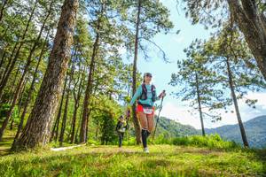 BIB: 
                            <button type="button" onclick="openModal(19291407)" class="btn btn-primary btn-sm float-right btn-popup" data-toggle="modal" data-target=".modal-high-quality">
                        <i class="fas fa-shopping-cart"></i> Add to Cart
                    </button>
                                            <button type="button" onclick="isThisMe(19291407, true)" class="btn btn-success btn-sm float-right btn-popup btn-isme hidden" data-toggle="tooltip" data-placement="bottom" title="นี่คือรูปของคุณใช่ไหม คลิกที่นี่เพื่อเอาเข้าอัลบั้ม">
                        <i class="fas fa-plus"></i> Add to album
                    </button>
                    <button type="button" onclick="isThisMe(19291407, false)" class="btn btn-warning btn-sm float-right btn-popup btn-isnotme hidden">
                        <i class="fas fa-ban"></i> Remove from album
                    </button>