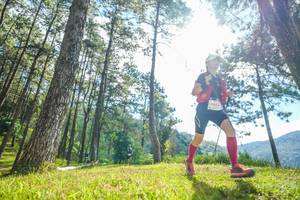 BIB: 
                            <button type="button" onclick="openModal(19284579)" class="btn btn-primary btn-sm float-right btn-popup" data-toggle="modal" data-target=".modal-high-quality">
                        <i class="fas fa-shopping-cart"></i> Add to Cart
                    </button>
                                            <button type="button" onclick="isThisMe(19284579, true)" class="btn btn-success btn-sm float-right btn-popup btn-isme hidden" data-toggle="tooltip" data-placement="bottom" title="นี่คือรูปของคุณใช่ไหม คลิกที่นี่เพื่อเอาเข้าอัลบั้ม">
                        <i class="fas fa-plus"></i> Add to album
                    </button>
                    <button type="button" onclick="isThisMe(19284579, false)" class="btn btn-warning btn-sm float-right btn-popup btn-isnotme hidden">
                        <i class="fas fa-ban"></i> Remove from album
                    </button>