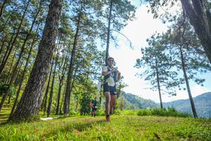 BIB: 
                            <button type="button" onclick="openModal(19283771)" class="btn btn-primary btn-sm float-right btn-popup" data-toggle="modal" data-target=".modal-high-quality">
                        <i class="fas fa-shopping-cart"></i> Add to Cart
                    </button>
                                            <button type="button" onclick="isThisMe(19283771, true)" class="btn btn-success btn-sm float-right btn-popup btn-isme hidden" data-toggle="tooltip" data-placement="bottom" title="นี่คือรูปของคุณใช่ไหม คลิกที่นี่เพื่อเอาเข้าอัลบั้ม">
                        <i class="fas fa-plus"></i> Add to album
                    </button>
                    <button type="button" onclick="isThisMe(19283771, false)" class="btn btn-warning btn-sm float-right btn-popup btn-isnotme hidden">
                        <i class="fas fa-ban"></i> Remove from album
                    </button>