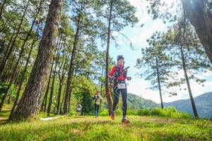 BIB: 
                            <button type="button" onclick="openModal(19290729)" class="btn btn-primary btn-sm float-right btn-popup" data-toggle="modal" data-target=".modal-high-quality">
                        <i class="fas fa-shopping-cart"></i> Add to Cart
                    </button>
                                            <button type="button" onclick="isThisMe(19290729, true)" class="btn btn-success btn-sm float-right btn-popup btn-isme hidden" data-toggle="tooltip" data-placement="bottom" title="นี่คือรูปของคุณใช่ไหม คลิกที่นี่เพื่อเอาเข้าอัลบั้ม">
                        <i class="fas fa-plus"></i> Add to album
                    </button>
                    <button type="button" onclick="isThisMe(19290729, false)" class="btn btn-warning btn-sm float-right btn-popup btn-isnotme hidden">
                        <i class="fas fa-ban"></i> Remove from album
                    </button>