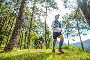 BIB: 
                            <button type="button" onclick="openModal(19289803)" class="btn btn-primary btn-sm float-right btn-popup" data-toggle="modal" data-target=".modal-high-quality">
                        <i class="fas fa-shopping-cart"></i> Add to Cart
                    </button>
                                            <button type="button" onclick="isThisMe(19289803, true)" class="btn btn-success btn-sm float-right btn-popup btn-isme hidden" data-toggle="tooltip" data-placement="bottom" title="นี่คือรูปของคุณใช่ไหม คลิกที่นี่เพื่อเอาเข้าอัลบั้ม">
                        <i class="fas fa-plus"></i> Add to album
                    </button>
                    <button type="button" onclick="isThisMe(19289803, false)" class="btn btn-warning btn-sm float-right btn-popup btn-isnotme hidden">
                        <i class="fas fa-ban"></i> Remove from album
                    </button>