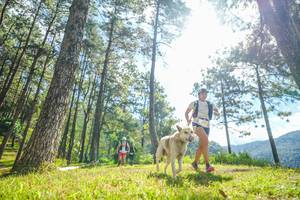 BIB: 
                            <button type="button" onclick="openModal(19285135)" class="btn btn-primary btn-sm float-right btn-popup" data-toggle="modal" data-target=".modal-high-quality">
                        <i class="fas fa-shopping-cart"></i> Add to Cart
                    </button>
                                            <button type="button" onclick="isThisMe(19285135, true)" class="btn btn-success btn-sm float-right btn-popup btn-isme hidden" data-toggle="tooltip" data-placement="bottom" title="นี่คือรูปของคุณใช่ไหม คลิกที่นี่เพื่อเอาเข้าอัลบั้ม">
                        <i class="fas fa-plus"></i> Add to album
                    </button>
                    <button type="button" onclick="isThisMe(19285135, false)" class="btn btn-warning btn-sm float-right btn-popup btn-isnotme hidden">
                        <i class="fas fa-ban"></i> Remove from album
                    </button>