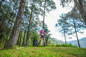 BIB: 
                            <button type="button" onclick="openModal(19287612)" class="btn btn-primary btn-sm float-right btn-popup" data-toggle="modal" data-target=".modal-high-quality">
                        <i class="fas fa-shopping-cart"></i> Add to Cart
                    </button>
                                            <button type="button" onclick="isThisMe(19287612, true)" class="btn btn-success btn-sm float-right btn-popup btn-isme hidden" data-toggle="tooltip" data-placement="bottom" title="นี่คือรูปของคุณใช่ไหม คลิกที่นี่เพื่อเอาเข้าอัลบั้ม">
                        <i class="fas fa-plus"></i> Add to album
                    </button>
                    <button type="button" onclick="isThisMe(19287612, false)" class="btn btn-warning btn-sm float-right btn-popup btn-isnotme hidden">
                        <i class="fas fa-ban"></i> Remove from album
                    </button>