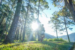 BIB: 
                            <button type="button" onclick="openModal(19278607)" class="btn btn-primary btn-sm float-right btn-popup" data-toggle="modal" data-target=".modal-high-quality">
                        <i class="fas fa-shopping-cart"></i> Add to Cart
                    </button>
                                            <button type="button" onclick="isThisMe(19278607, true)" class="btn btn-success btn-sm float-right btn-popup btn-isme hidden" data-toggle="tooltip" data-placement="bottom" title="นี่คือรูปของคุณใช่ไหม คลิกที่นี่เพื่อเอาเข้าอัลบั้ม">
                        <i class="fas fa-plus"></i> Add to album
                    </button>
                    <button type="button" onclick="isThisMe(19278607, false)" class="btn btn-warning btn-sm float-right btn-popup btn-isnotme hidden">
                        <i class="fas fa-ban"></i> Remove from album
                    </button>