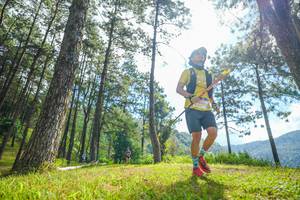 BIB: 
                            <button type="button" onclick="openModal(19285790)" class="btn btn-primary btn-sm float-right btn-popup" data-toggle="modal" data-target=".modal-high-quality">
                        <i class="fas fa-shopping-cart"></i> Add to Cart
                    </button>
                                            <button type="button" onclick="isThisMe(19285790, true)" class="btn btn-success btn-sm float-right btn-popup btn-isme hidden" data-toggle="tooltip" data-placement="bottom" title="นี่คือรูปของคุณใช่ไหม คลิกที่นี่เพื่อเอาเข้าอัลบั้ม">
                        <i class="fas fa-plus"></i> Add to album
                    </button>
                    <button type="button" onclick="isThisMe(19285790, false)" class="btn btn-warning btn-sm float-right btn-popup btn-isnotme hidden">
                        <i class="fas fa-ban"></i> Remove from album
                    </button>