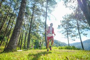 BIB: 
                            <button type="button" onclick="openModal(19283734)" class="btn btn-primary btn-sm float-right btn-popup" data-toggle="modal" data-target=".modal-high-quality">
                        <i class="fas fa-shopping-cart"></i> Add to Cart
                    </button>
                                            <button type="button" onclick="isThisMe(19283734, true)" class="btn btn-success btn-sm float-right btn-popup btn-isme hidden" data-toggle="tooltip" data-placement="bottom" title="นี่คือรูปของคุณใช่ไหม คลิกที่นี่เพื่อเอาเข้าอัลบั้ม">
                        <i class="fas fa-plus"></i> Add to album
                    </button>
                    <button type="button" onclick="isThisMe(19283734, false)" class="btn btn-warning btn-sm float-right btn-popup btn-isnotme hidden">
                        <i class="fas fa-ban"></i> Remove from album
                    </button>