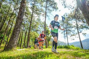 BIB: 
                            <button type="button" onclick="openModal(19289074)" class="btn btn-primary btn-sm float-right btn-popup" data-toggle="modal" data-target=".modal-high-quality">
                        <i class="fas fa-shopping-cart"></i> Add to Cart
                    </button>
                                            <button type="button" onclick="isThisMe(19289074, true)" class="btn btn-success btn-sm float-right btn-popup btn-isme hidden" data-toggle="tooltip" data-placement="bottom" title="นี่คือรูปของคุณใช่ไหม คลิกที่นี่เพื่อเอาเข้าอัลบั้ม">
                        <i class="fas fa-plus"></i> Add to album
                    </button>
                    <button type="button" onclick="isThisMe(19289074, false)" class="btn btn-warning btn-sm float-right btn-popup btn-isnotme hidden">
                        <i class="fas fa-ban"></i> Remove from album
                    </button>