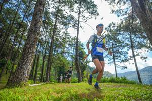 BIB: 
                            <button type="button" onclick="openModal(19286970)" class="btn btn-primary btn-sm float-right btn-popup" data-toggle="modal" data-target=".modal-high-quality">
                        <i class="fas fa-shopping-cart"></i> Add to Cart
                    </button>
                                            <button type="button" onclick="isThisMe(19286970, true)" class="btn btn-success btn-sm float-right btn-popup btn-isme hidden" data-toggle="tooltip" data-placement="bottom" title="นี่คือรูปของคุณใช่ไหม คลิกที่นี่เพื่อเอาเข้าอัลบั้ม">
                        <i class="fas fa-plus"></i> Add to album
                    </button>
                    <button type="button" onclick="isThisMe(19286970, false)" class="btn btn-warning btn-sm float-right btn-popup btn-isnotme hidden">
                        <i class="fas fa-ban"></i> Remove from album
                    </button>