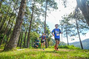 BIB: 
                            <button type="button" onclick="openModal(19290157)" class="btn btn-primary btn-sm float-right btn-popup" data-toggle="modal" data-target=".modal-high-quality">
                        <i class="fas fa-shopping-cart"></i> Add to Cart
                    </button>
                                            <button type="button" onclick="isThisMe(19290157, true)" class="btn btn-success btn-sm float-right btn-popup btn-isme hidden" data-toggle="tooltip" data-placement="bottom" title="นี่คือรูปของคุณใช่ไหม คลิกที่นี่เพื่อเอาเข้าอัลบั้ม">
                        <i class="fas fa-plus"></i> Add to album
                    </button>
                    <button type="button" onclick="isThisMe(19290157, false)" class="btn btn-warning btn-sm float-right btn-popup btn-isnotme hidden">
                        <i class="fas fa-ban"></i> Remove from album
                    </button>