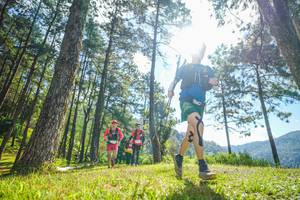 BIB: 
                            <button type="button" onclick="openModal(19282653)" class="btn btn-primary btn-sm float-right btn-popup" data-toggle="modal" data-target=".modal-high-quality">
                        <i class="fas fa-shopping-cart"></i> Add to Cart
                    </button>
                                            <button type="button" onclick="isThisMe(19282653, true)" class="btn btn-success btn-sm float-right btn-popup btn-isme hidden" data-toggle="tooltip" data-placement="bottom" title="นี่คือรูปของคุณใช่ไหม คลิกที่นี่เพื่อเอาเข้าอัลบั้ม">
                        <i class="fas fa-plus"></i> Add to album
                    </button>
                    <button type="button" onclick="isThisMe(19282653, false)" class="btn btn-warning btn-sm float-right btn-popup btn-isnotme hidden">
                        <i class="fas fa-ban"></i> Remove from album
                    </button>