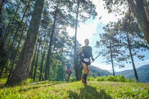 BIB: 
                            <button type="button" onclick="openModal(19280553)" class="btn btn-primary btn-sm float-right btn-popup" data-toggle="modal" data-target=".modal-high-quality">
                        <i class="fas fa-shopping-cart"></i> Add to Cart
                    </button>
                                            <button type="button" onclick="isThisMe(19280553, true)" class="btn btn-success btn-sm float-right btn-popup btn-isme hidden" data-toggle="tooltip" data-placement="bottom" title="นี่คือรูปของคุณใช่ไหม คลิกที่นี่เพื่อเอาเข้าอัลบั้ม">
                        <i class="fas fa-plus"></i> Add to album
                    </button>
                    <button type="button" onclick="isThisMe(19280553, false)" class="btn btn-warning btn-sm float-right btn-popup btn-isnotme hidden">
                        <i class="fas fa-ban"></i> Remove from album
                    </button>