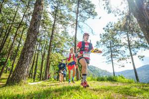 BIB: 
                            <button type="button" onclick="openModal(19289077)" class="btn btn-primary btn-sm float-right btn-popup" data-toggle="modal" data-target=".modal-high-quality">
                        <i class="fas fa-shopping-cart"></i> Add to Cart
                    </button>
                                            <button type="button" onclick="isThisMe(19289077, true)" class="btn btn-success btn-sm float-right btn-popup btn-isme hidden" data-toggle="tooltip" data-placement="bottom" title="นี่คือรูปของคุณใช่ไหม คลิกที่นี่เพื่อเอาเข้าอัลบั้ม">
                        <i class="fas fa-plus"></i> Add to album
                    </button>
                    <button type="button" onclick="isThisMe(19289077, false)" class="btn btn-warning btn-sm float-right btn-popup btn-isnotme hidden">
                        <i class="fas fa-ban"></i> Remove from album
                    </button>