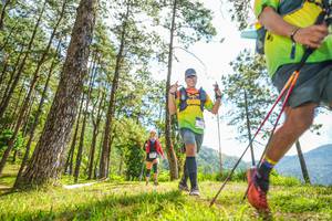 BIB: 
                            <button type="button" onclick="openModal(19288974)" class="btn btn-primary btn-sm float-right btn-popup" data-toggle="modal" data-target=".modal-high-quality">
                        <i class="fas fa-shopping-cart"></i> Add to Cart
                    </button>
                                            <button type="button" onclick="isThisMe(19288974, true)" class="btn btn-success btn-sm float-right btn-popup btn-isme hidden" data-toggle="tooltip" data-placement="bottom" title="นี่คือรูปของคุณใช่ไหม คลิกที่นี่เพื่อเอาเข้าอัลบั้ม">
                        <i class="fas fa-plus"></i> Add to album
                    </button>
                    <button type="button" onclick="isThisMe(19288974, false)" class="btn btn-warning btn-sm float-right btn-popup btn-isnotme hidden">
                        <i class="fas fa-ban"></i> Remove from album
                    </button>