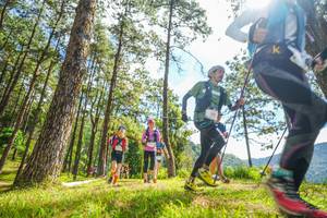 BIB: 
                            <button type="button" onclick="openModal(19290024)" class="btn btn-primary btn-sm float-right btn-popup" data-toggle="modal" data-target=".modal-high-quality">
                        <i class="fas fa-shopping-cart"></i> Add to Cart
                    </button>
                                            <button type="button" onclick="isThisMe(19290024, true)" class="btn btn-success btn-sm float-right btn-popup btn-isme hidden" data-toggle="tooltip" data-placement="bottom" title="นี่คือรูปของคุณใช่ไหม คลิกที่นี่เพื่อเอาเข้าอัลบั้ม">
                        <i class="fas fa-plus"></i> Add to album
                    </button>
                    <button type="button" onclick="isThisMe(19290024, false)" class="btn btn-warning btn-sm float-right btn-popup btn-isnotme hidden">
                        <i class="fas fa-ban"></i> Remove from album
                    </button>