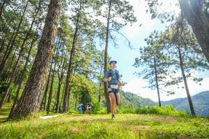 BIB: 
                            <button type="button" onclick="openModal(19290837)" class="btn btn-primary btn-sm float-right btn-popup" data-toggle="modal" data-target=".modal-high-quality">
                        <i class="fas fa-shopping-cart"></i> Add to Cart
                    </button>
                                            <button type="button" onclick="isThisMe(19290837, true)" class="btn btn-success btn-sm float-right btn-popup btn-isme hidden" data-toggle="tooltip" data-placement="bottom" title="นี่คือรูปของคุณใช่ไหม คลิกที่นี่เพื่อเอาเข้าอัลบั้ม">
                        <i class="fas fa-plus"></i> Add to album
                    </button>
                    <button type="button" onclick="isThisMe(19290837, false)" class="btn btn-warning btn-sm float-right btn-popup btn-isnotme hidden">
                        <i class="fas fa-ban"></i> Remove from album
                    </button>