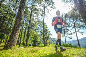 BIB: 5965
                            <button type="button" onclick="openModal(19287091)" class="btn btn-primary btn-sm float-right btn-popup" data-toggle="modal" data-target=".modal-high-quality">
                        <i class="fas fa-shopping-cart"></i> Add to Cart
                    </button>
                                            <button type="button" onclick="isThisMe(19287091, true)" class="btn btn-success btn-sm float-right btn-popup btn-isme hidden" data-toggle="tooltip" data-placement="bottom" title="นี่คือรูปของคุณใช่ไหม คลิกที่นี่เพื่อเอาเข้าอัลบั้ม">
                        <i class="fas fa-plus"></i> Add to album
                    </button>
                    <button type="button" onclick="isThisMe(19287091, false)" class="btn btn-warning btn-sm float-right btn-popup btn-isnotme hidden">
                        <i class="fas fa-ban"></i> Remove from album
                    </button>