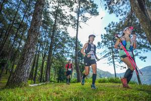 BIB: 
                            <button type="button" onclick="openModal(19281319)" class="btn btn-primary btn-sm float-right btn-popup" data-toggle="modal" data-target=".modal-high-quality">
                        <i class="fas fa-shopping-cart"></i> Add to Cart
                    </button>
                                            <button type="button" onclick="isThisMe(19281319, true)" class="btn btn-success btn-sm float-right btn-popup btn-isme hidden" data-toggle="tooltip" data-placement="bottom" title="นี่คือรูปของคุณใช่ไหม คลิกที่นี่เพื่อเอาเข้าอัลบั้ม">
                        <i class="fas fa-plus"></i> Add to album
                    </button>
                    <button type="button" onclick="isThisMe(19281319, false)" class="btn btn-warning btn-sm float-right btn-popup btn-isnotme hidden">
                        <i class="fas fa-ban"></i> Remove from album
                    </button>